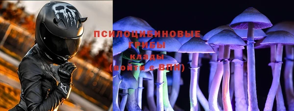 прущий лед Алексин