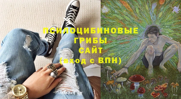прущий лед Алексин